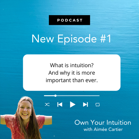 Own Your Intuition - Episode 1 - What is Intuition