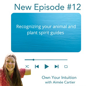 Own Your Intuition - Episode 12 - Recognizing your animal and plant spirit guides