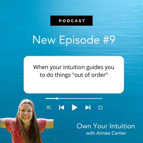 Own Your Intuition - Episode 9 -When your intuition guides you to do things 